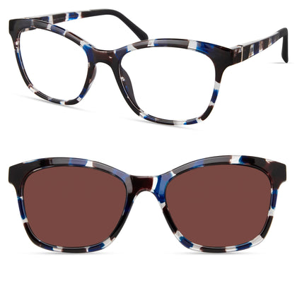 Armazon ECO CASSIA | Tortoise Azul